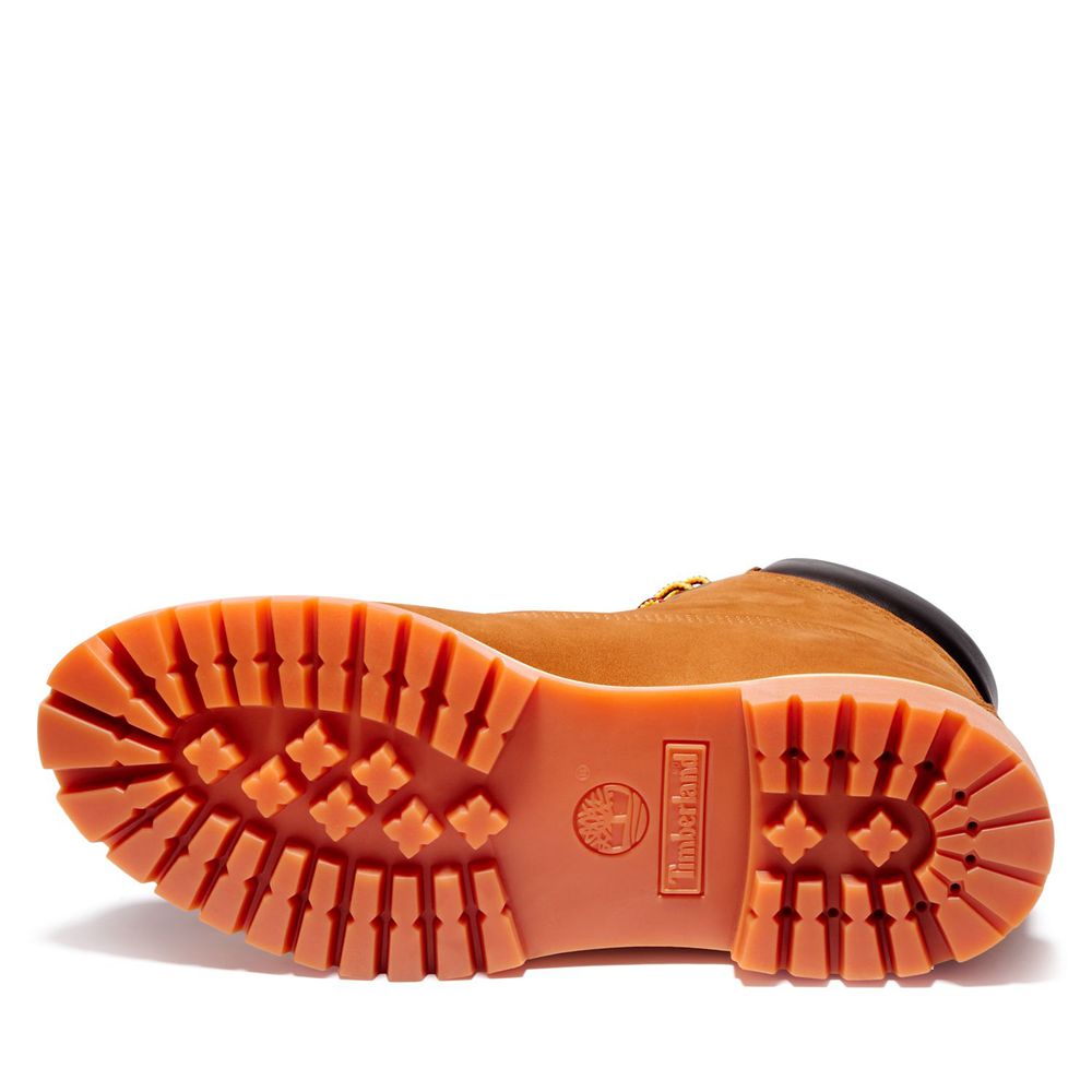 Bocanci De Zapada Timberland Barbati Maro - 6-Inch Premium Waterproof - Romania - JYKMSB075